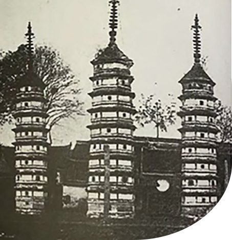 自主品牌_营业结构_尊龙新版人生就是博丝绸，，，，金三塔丝绸_尊龙新版人生就是博